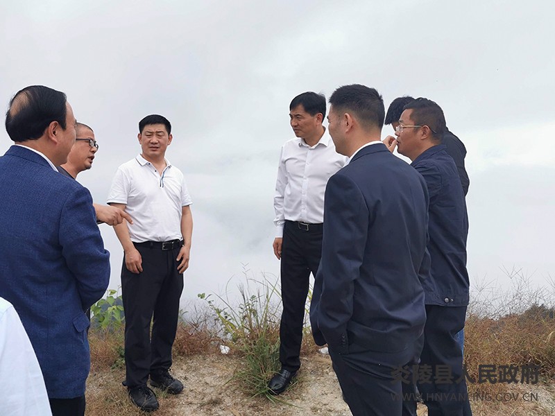 尹朝晖实地调研推进远山蓝旅游项目