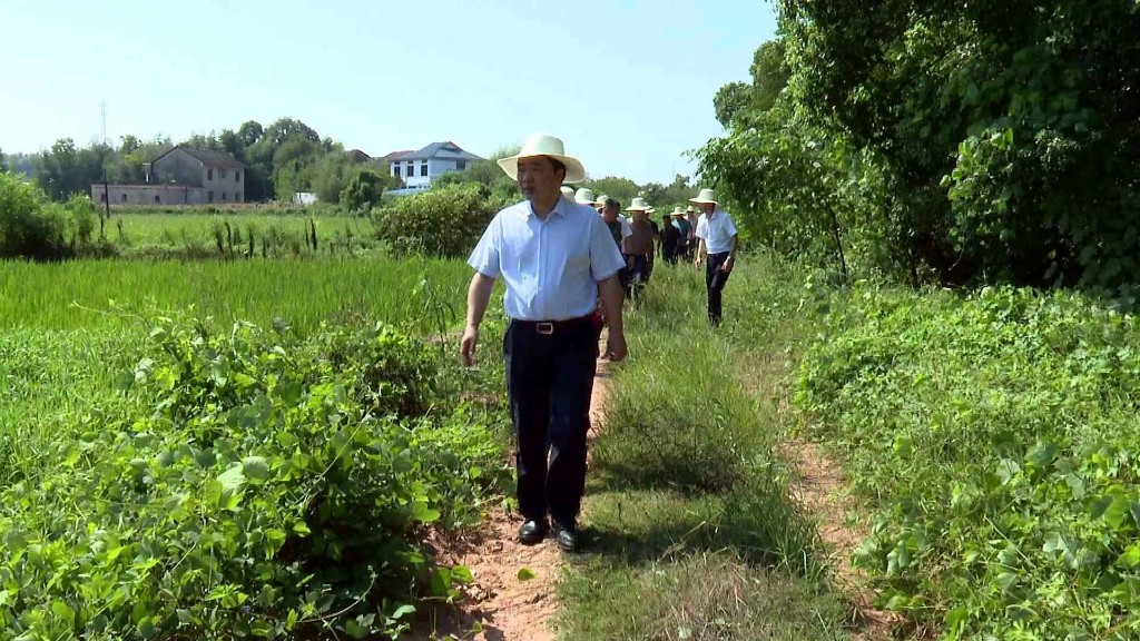 李鹏程在网岭镇调研指导抗旱工作 强调 ：