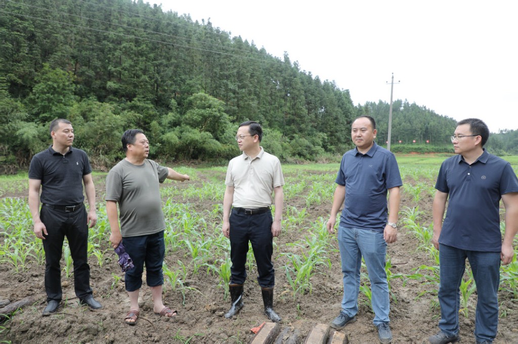 夏胜利带队调研耕地恢复工作并召开现场观摩